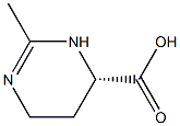 5-氨基酮戊酸盐